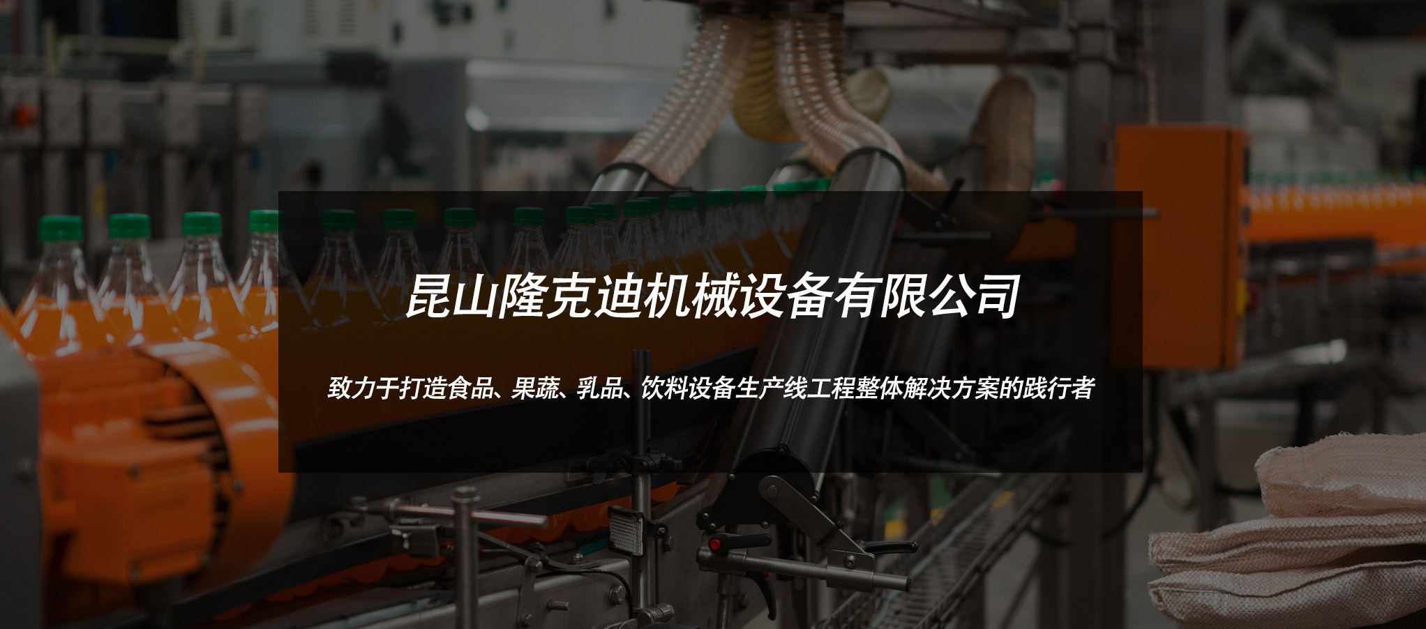 果干果脯生产线
